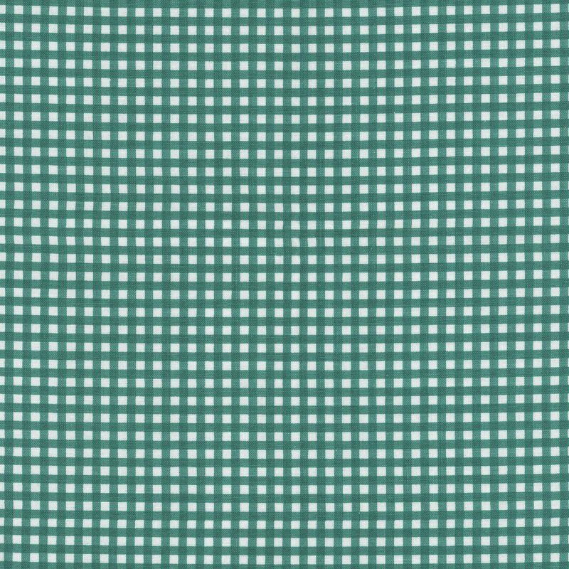 Teal and white gingham fabric.