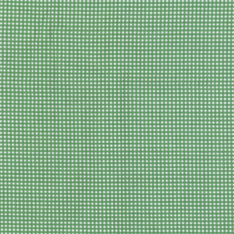 Green and white micro gingham fabric.