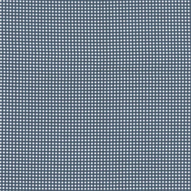 Denim and white micro gingham fabric.