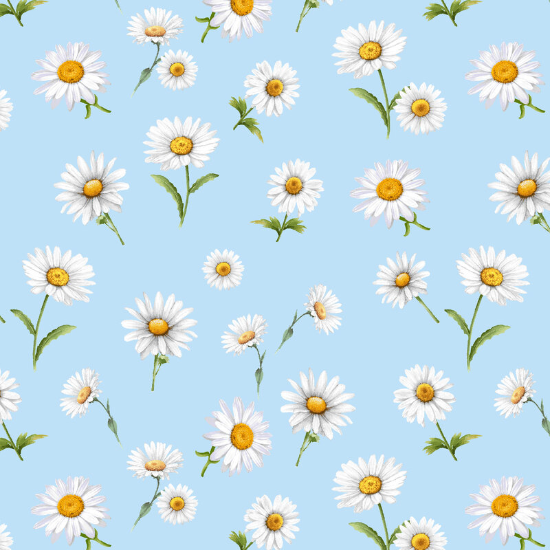 Light blue fabric with large white daisies tossed throughout