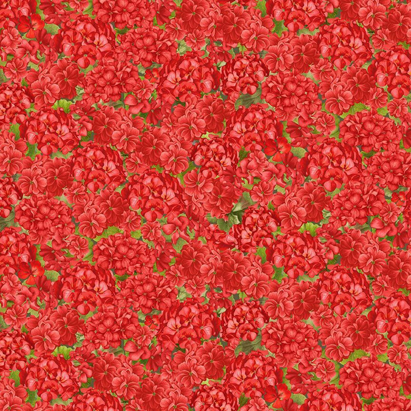 Red fabric packed with geraniums with their leaves peeking through the spaces from the background.