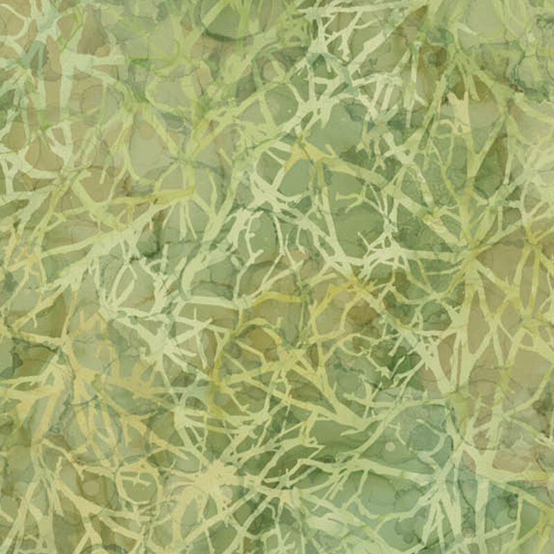 Textured pattern resembling crossing branches and leaves in green organic appearance. 