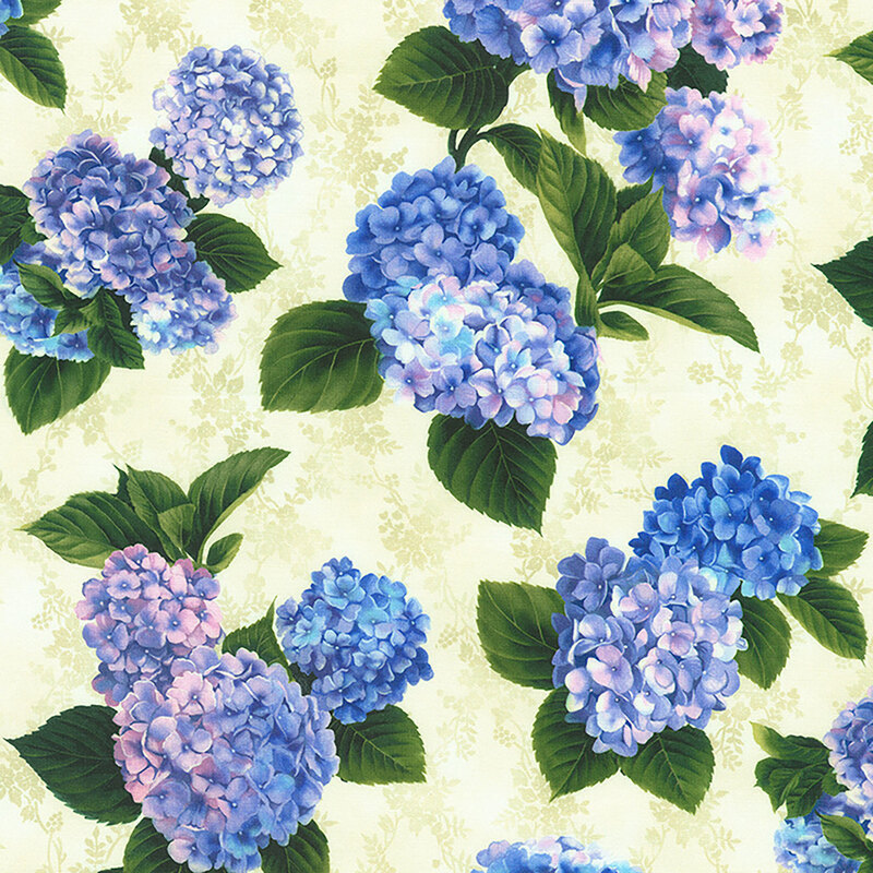 Light cream fabric with tossed bouquets of large blue and pink hydrangeas with green leaves.