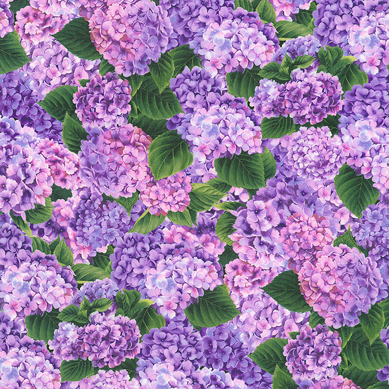 Predominately orchid fabric featuring packed clusters of pink and purple hydrangeas and green leaves.