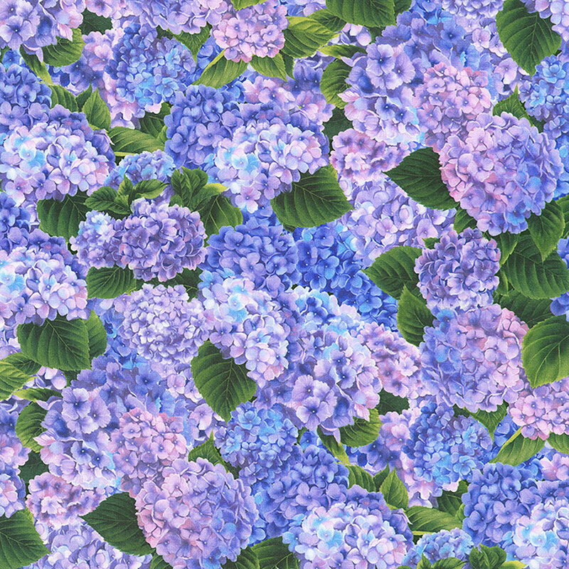 Predominately lavender fabric featuring packed clusters of lavender, periwinkle, and lilac hydrangeas and green leaves.