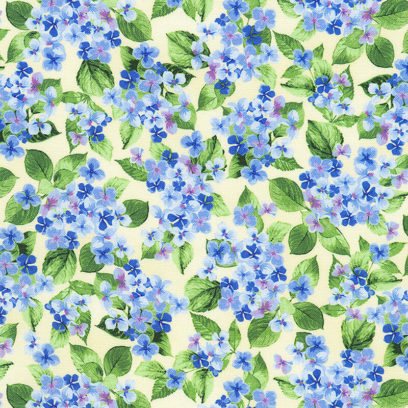 Light cream fabric with clusters of blue hydrangea flowers and green leaves.