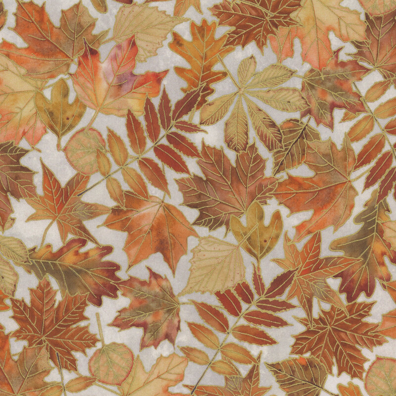 A dense arrangement of autumn leaves in various shades of orange, yellow, and brown on a white background.