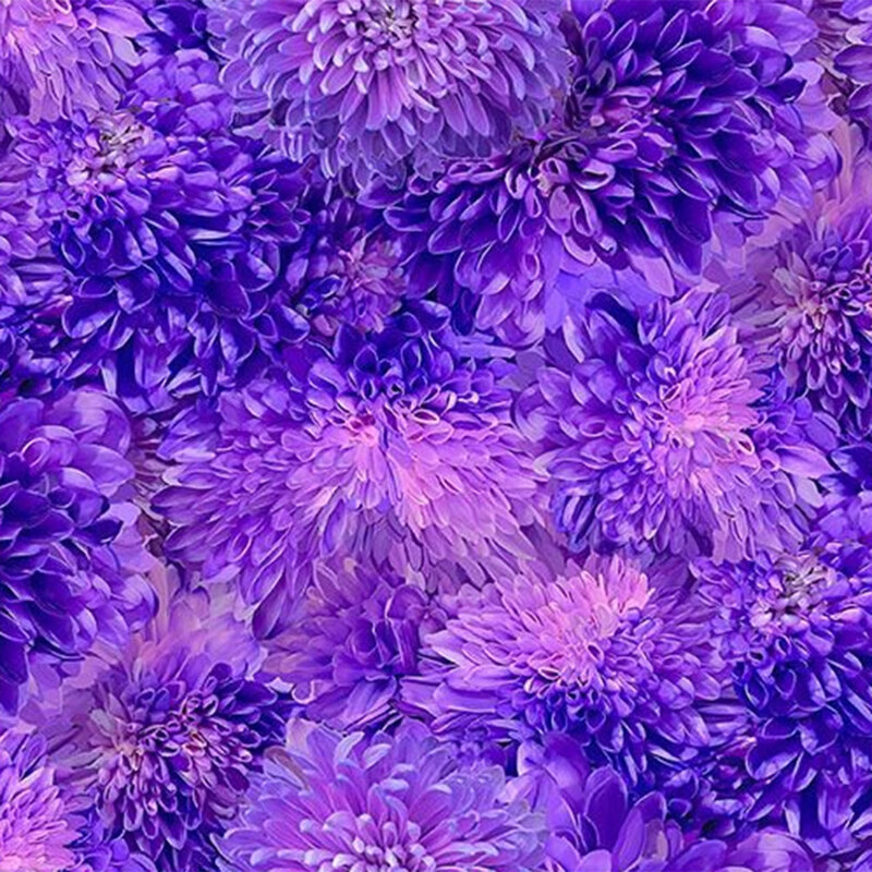 A vibrant arrangement of purple chrysanthemums in various shades and textures.