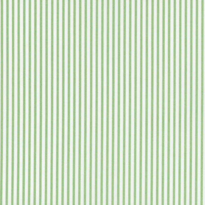 green and white thinly striped fabric