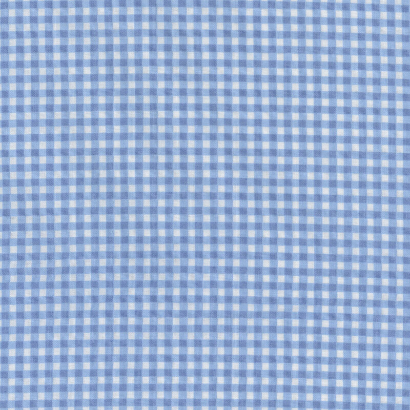 Light blue and white gingham print fabric