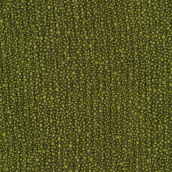 Hopscotch 3224-008 by RJR Fabrics