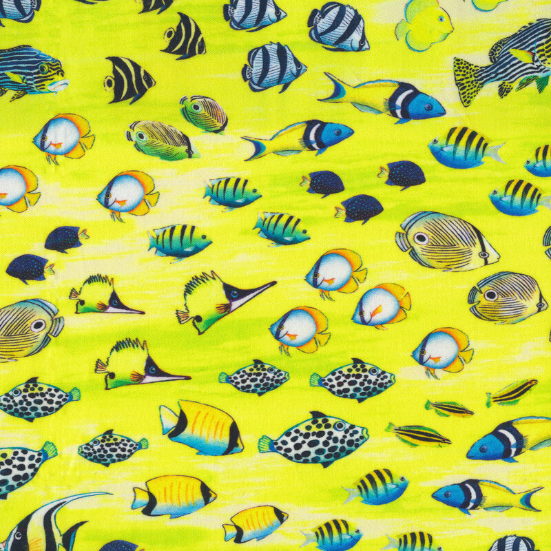 Lime green yellow fabric features assorted tropical fish design | Shabby Fabrics